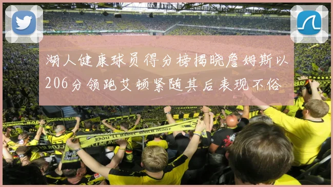 湖人健康球员得分榜揭晓詹姆斯以206分领跑艾顿紧随其后表现不俗